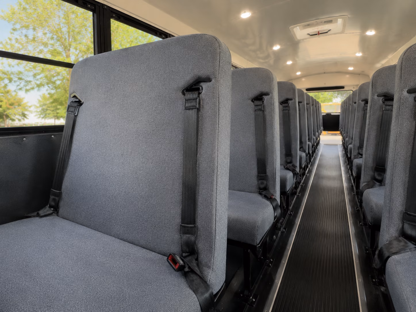 school buses for queen creek farm and outdoor education trips